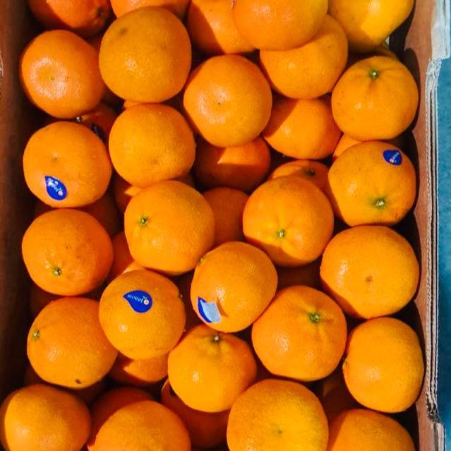 Mini Oranges