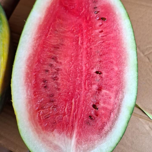 Watermelon